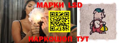 спиды Камышлов