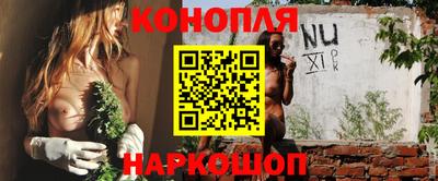 спиды Камышлов