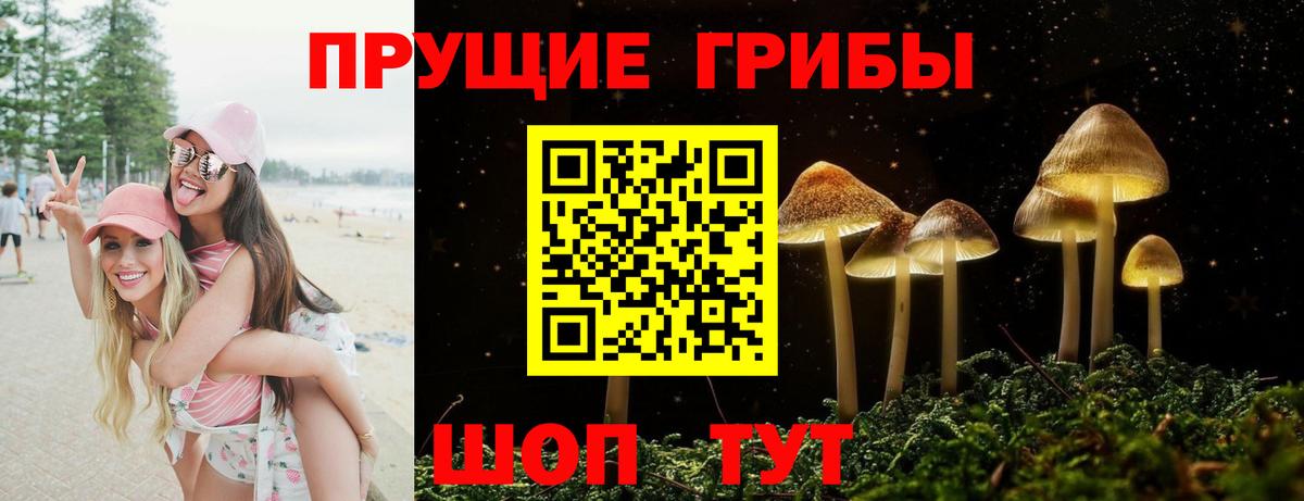 Псилоцибиновые грибы прущие грибы Сегежа