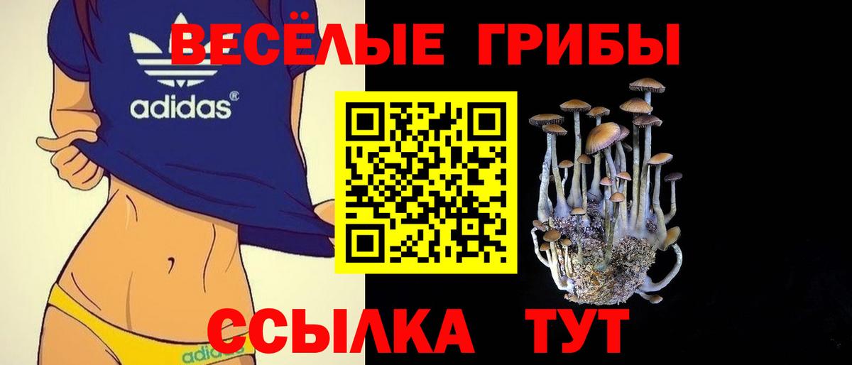 Галлюциногенные грибы Cubensis  Галлюциногенные грибы прущие грибы  Вход с VPN  Сегежа 